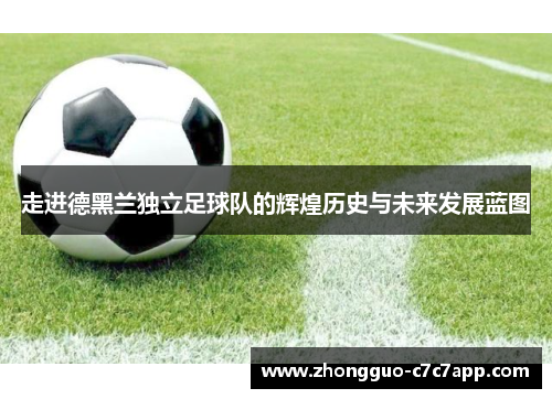 走进德黑兰独立足球队的辉煌历史与未来发展蓝图