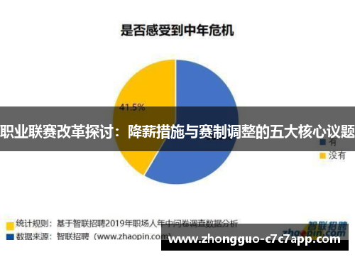职业联赛改革探讨:降薪措施与赛制调整的五大核心议题 职业联赛改革探讨:降薪措施与赛制调整的五大核心议题